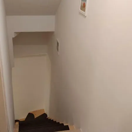 Mirko